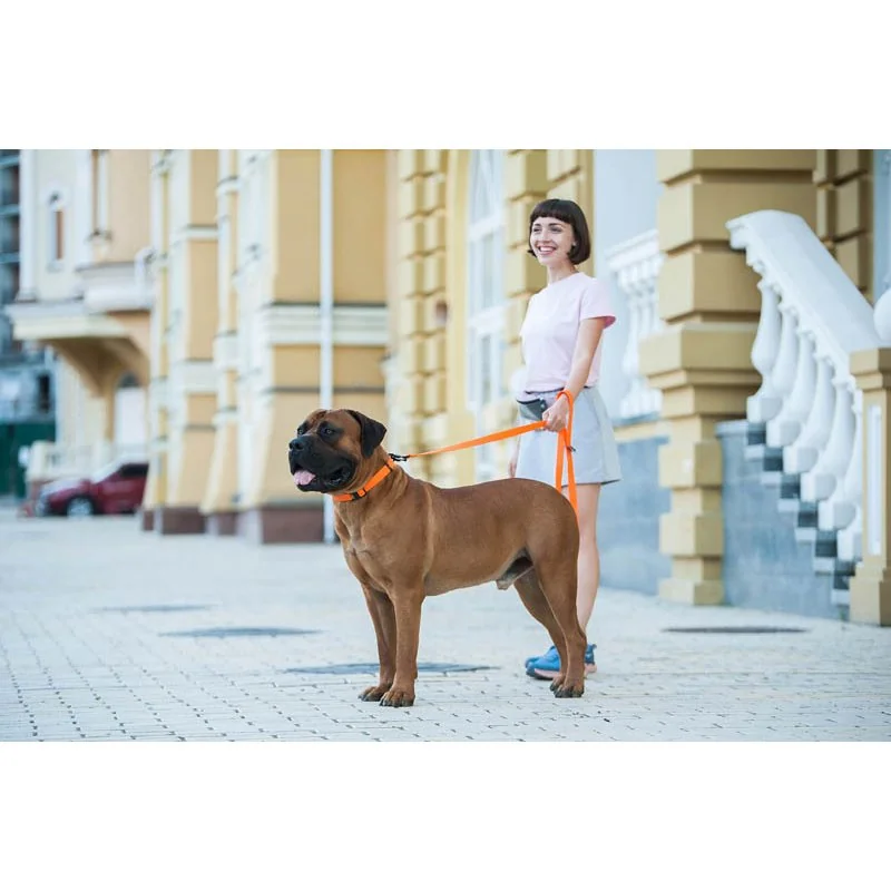 Najsilnejší obojok pre psa EVOLUTOR oranžový