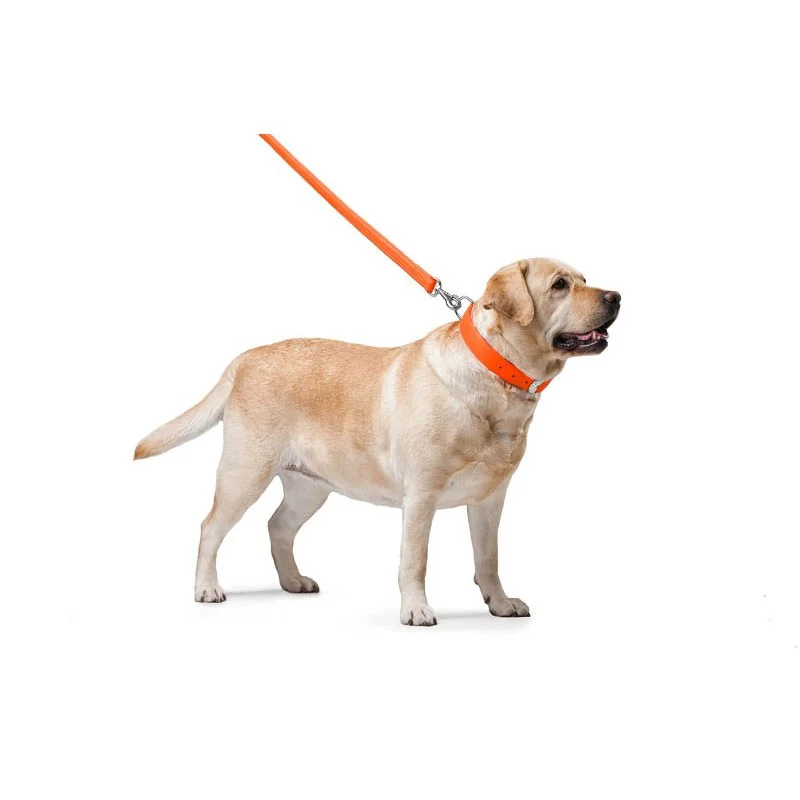 Ploché kožené vodítko oranžovej farby 122cm, šírka: 25 mm