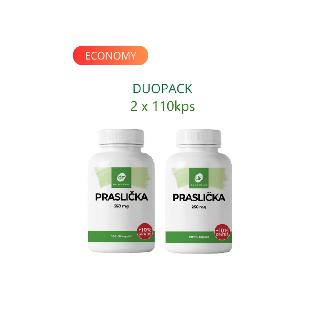 DR. FLEMING Praslička 250mg +10% grátis 220ks DUOPACK