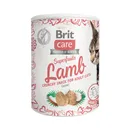 Brit Care Cat Snack Superfruits Lamb