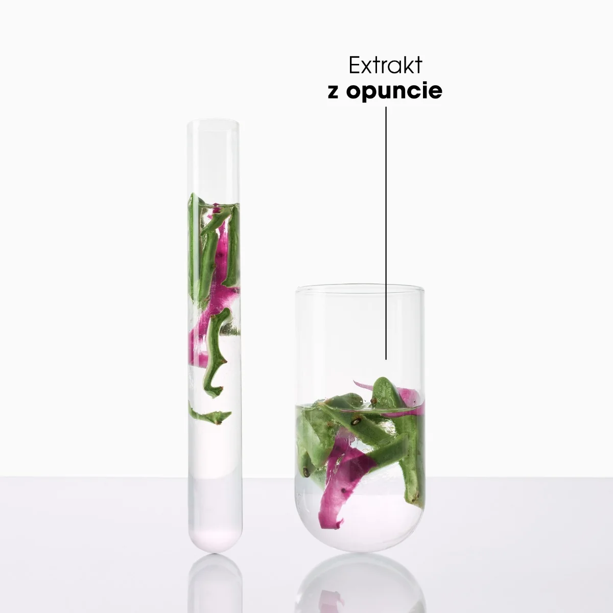 KLORANE Hydratačný ŠAMPÓN s opunciou 400 ml