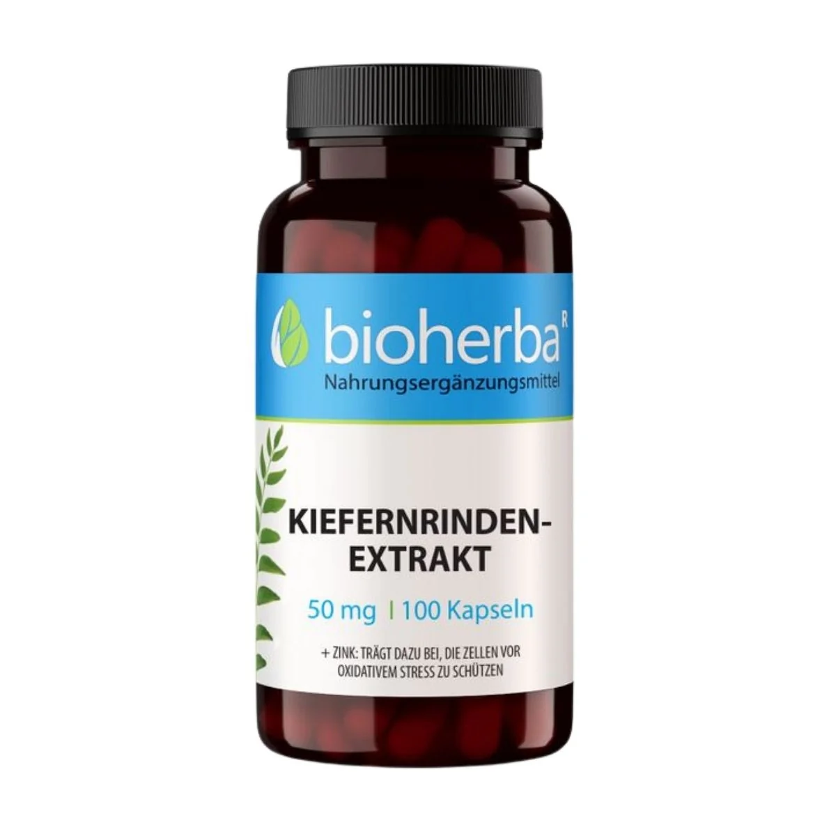 Extrakt z borovicovej kôry 50 mg - 100 kapsúl - Bioherba