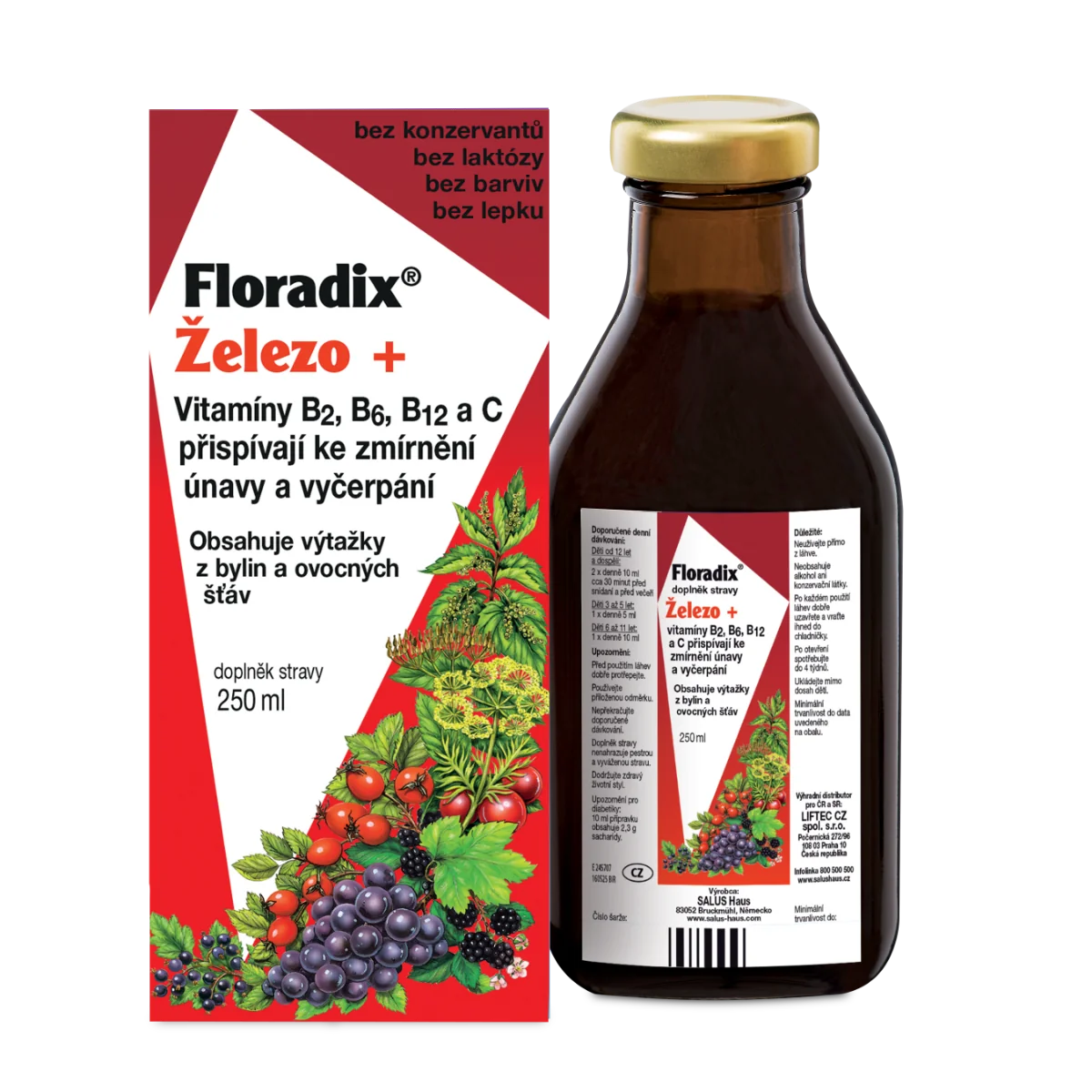 SALUS Floradix 1×250 ml, bylinný sirup