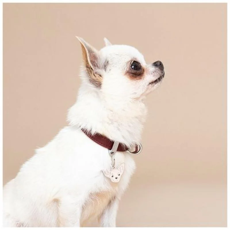 MF CREAM CHIHUAHUA gravírovateľný prívesok 2,2x3cm