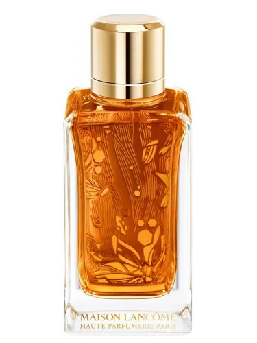 Lancome Oud Ambroisie Edp 100ml 1×100 ml, parfumová voda