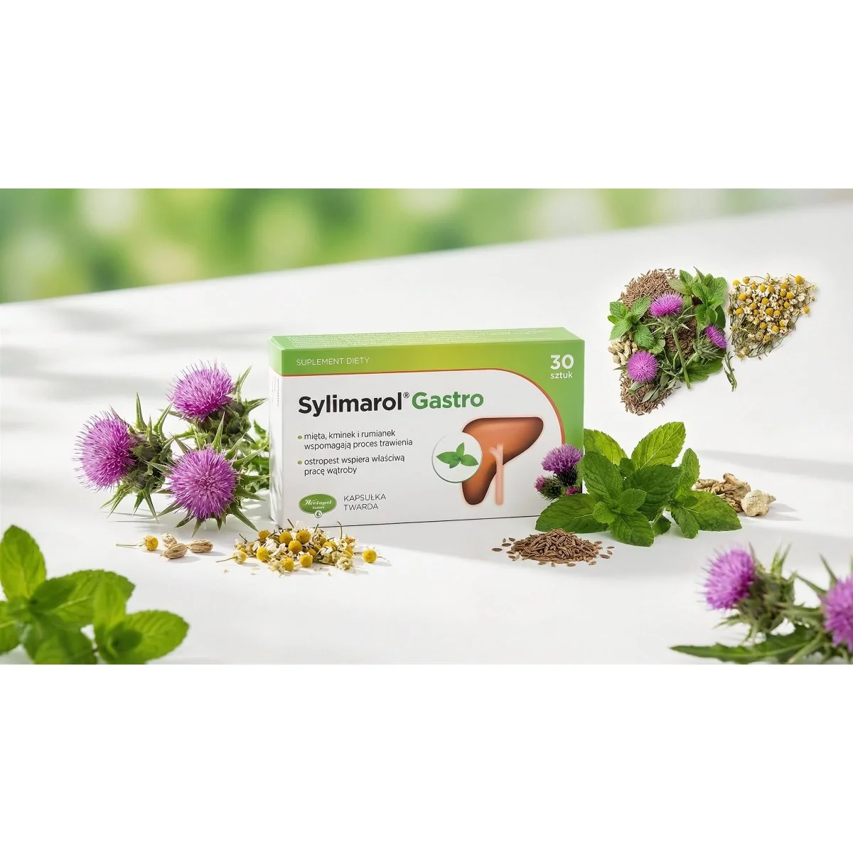 Herbapol Sylimarol Gastro 30 kapsúl