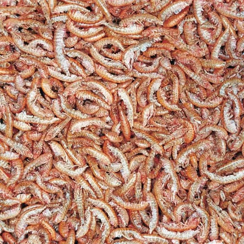 TROPICAL Gammarus 500ml/60g prírodné krmivo