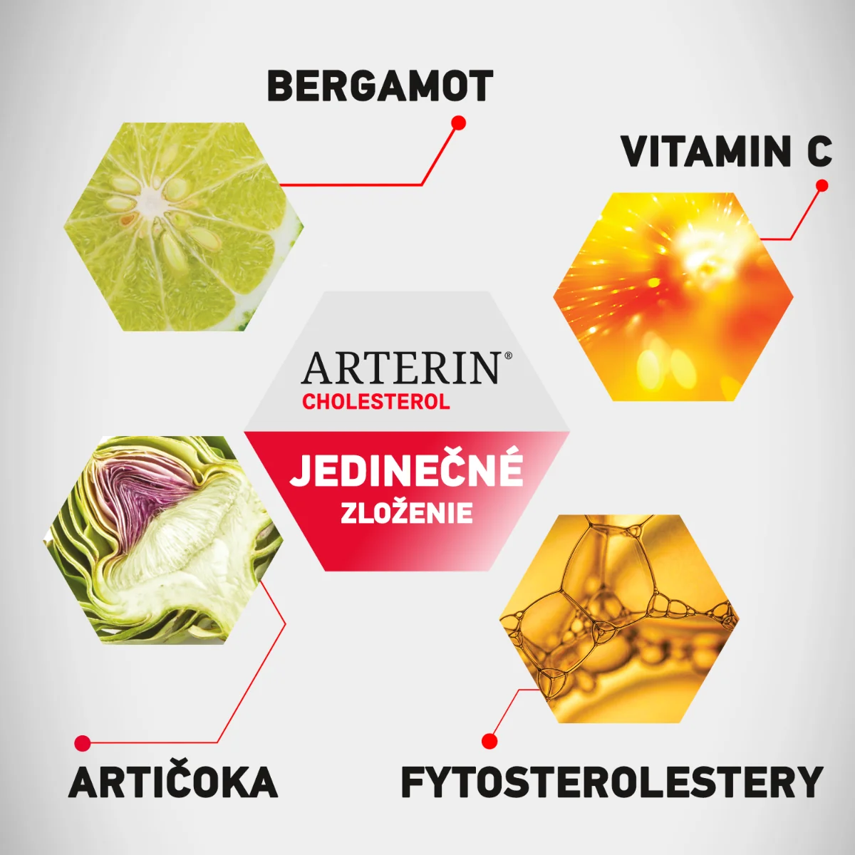 ARTERIN CHOLESTEROL 1×30 tbl, výživový doplnok