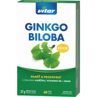 VITAR Ginkgo biloba Forte