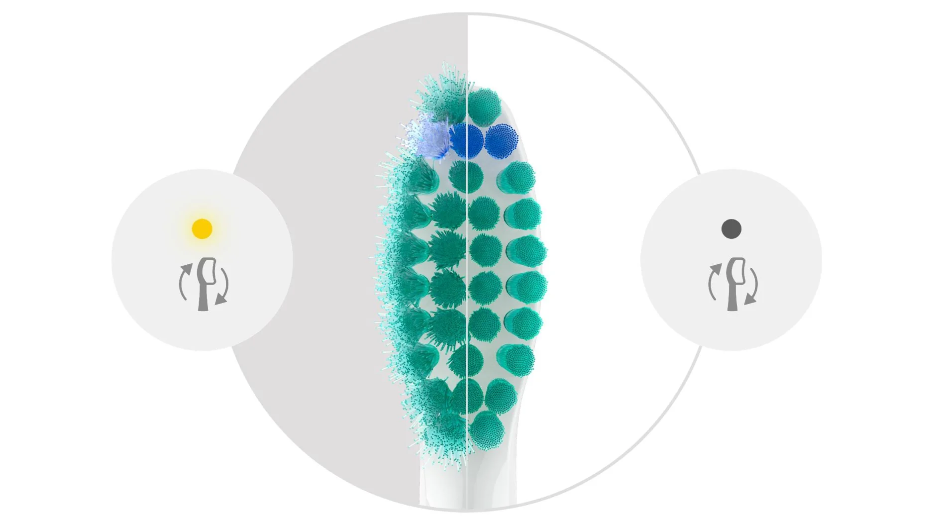 Philips Sonicare ProResults HX6014/87 1 ks