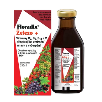 SALUS Floradix 1×250 ml, bylinný sirup
