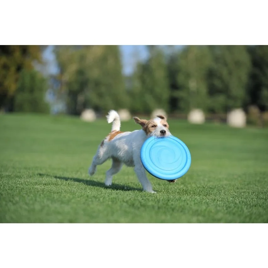 Lietajúci tanier Pitch dog modrý