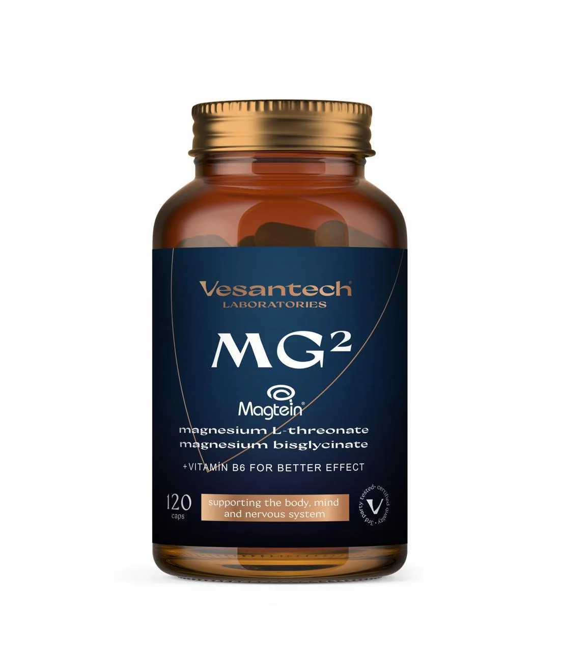Vesantech Magnesium 2v1 (Bisglycinate & L-Threonate)