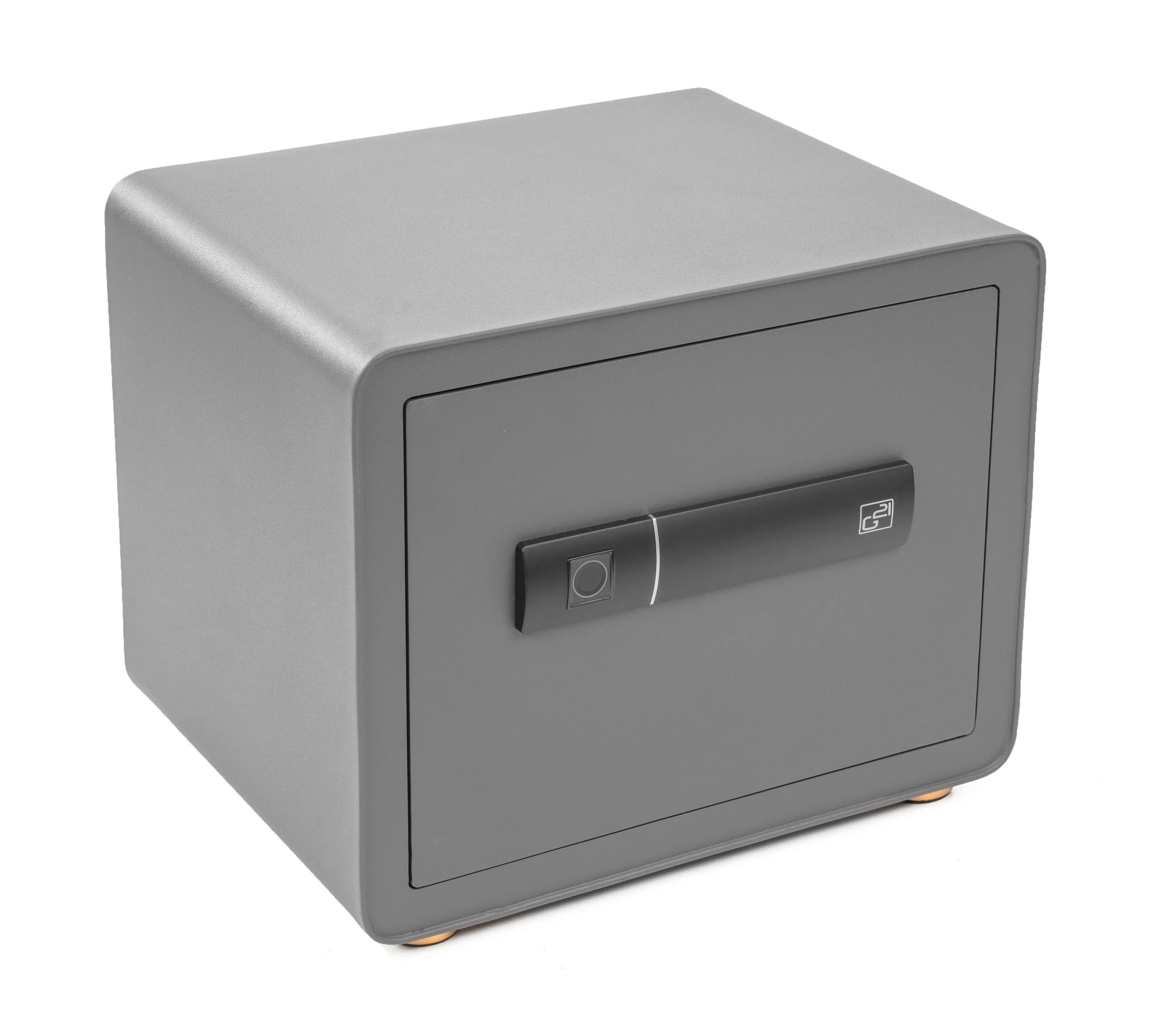 Trezor G21 na odtlačok prsta 380 x 310 x 300 mm TR-G21-30XHZ