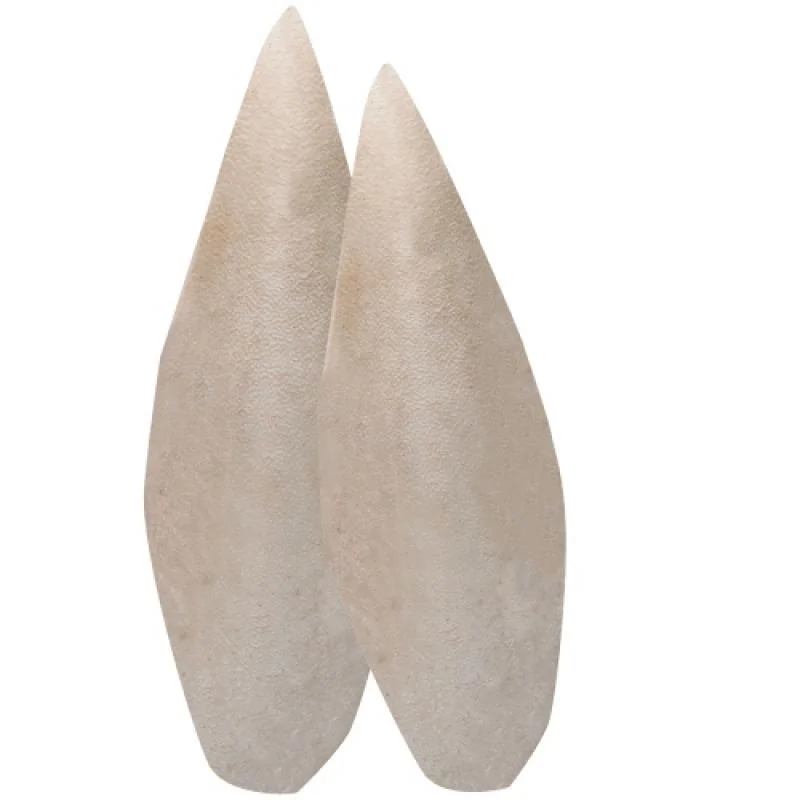 HOBBY Sepia Bone- sépiová kosť + / - 20-25 cm 2ks