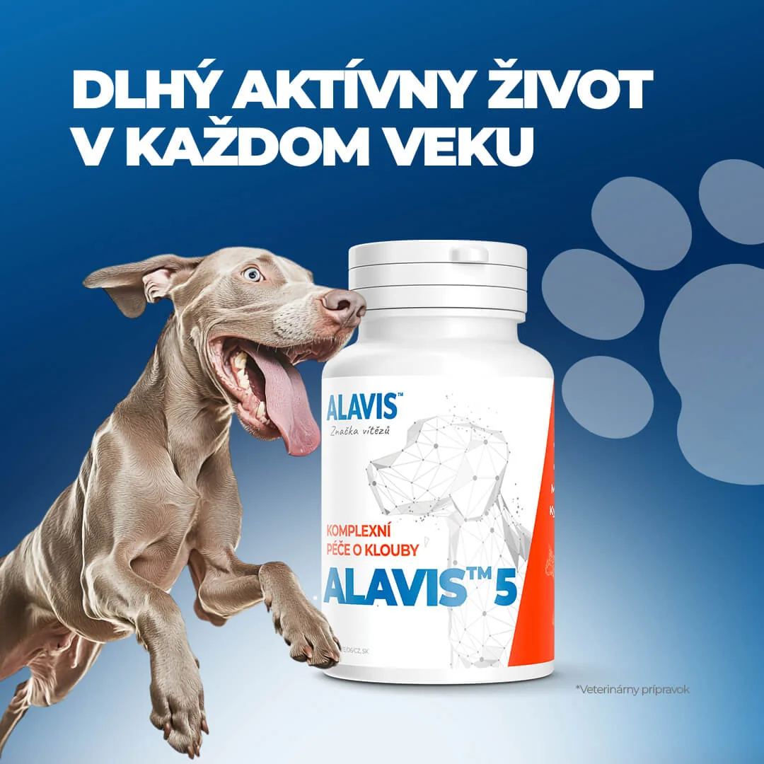 ALAVIS 5 90 tbl 1×90 tbl, komplexná kĺbová výživa