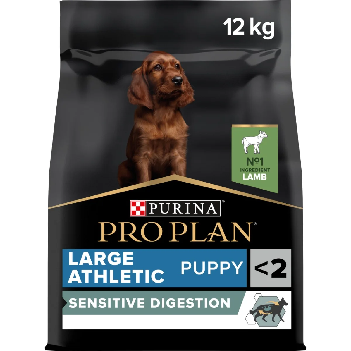 PRO PLAN Large Puppy Athletic Sensitive Digestion granule pre šteniatka jahňacie 12 kg 1×12kg, granule pre šteňatá