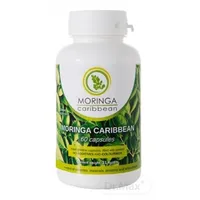 MORINGA Moringa Caribbean (standard)