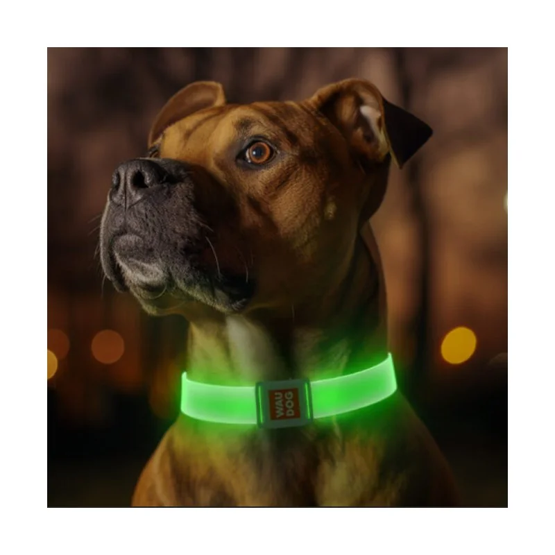 LED svietiaci obojok zelená, obvod 50-60 cm