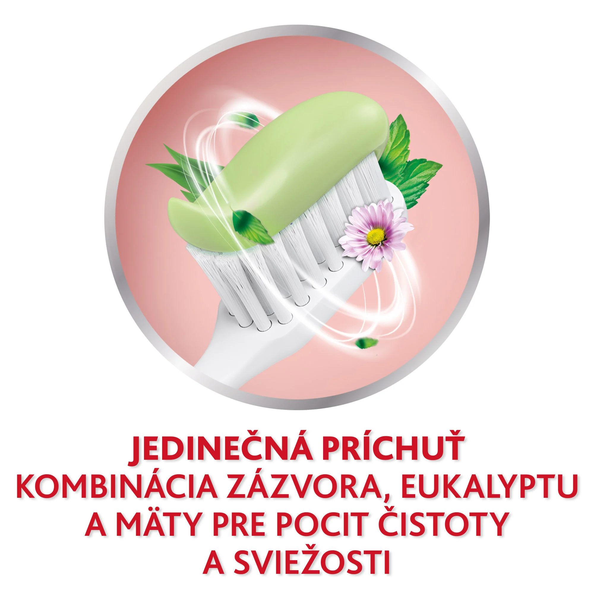 PARODONTAX zubná pasta HERBAL FRESH 1×75ml, zubná pasta