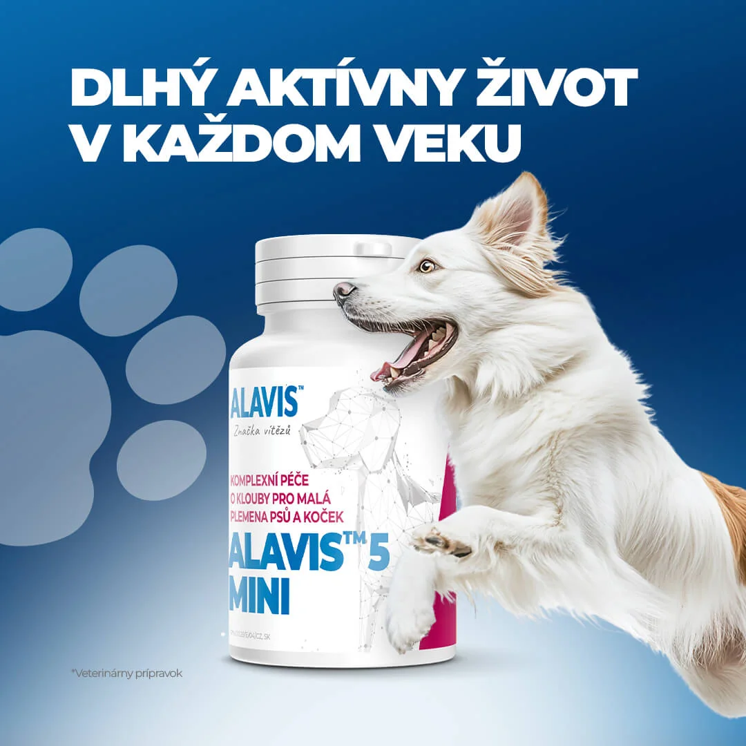ALAVIS 5 MINI 1×90 tbl, veterinárny prípravok