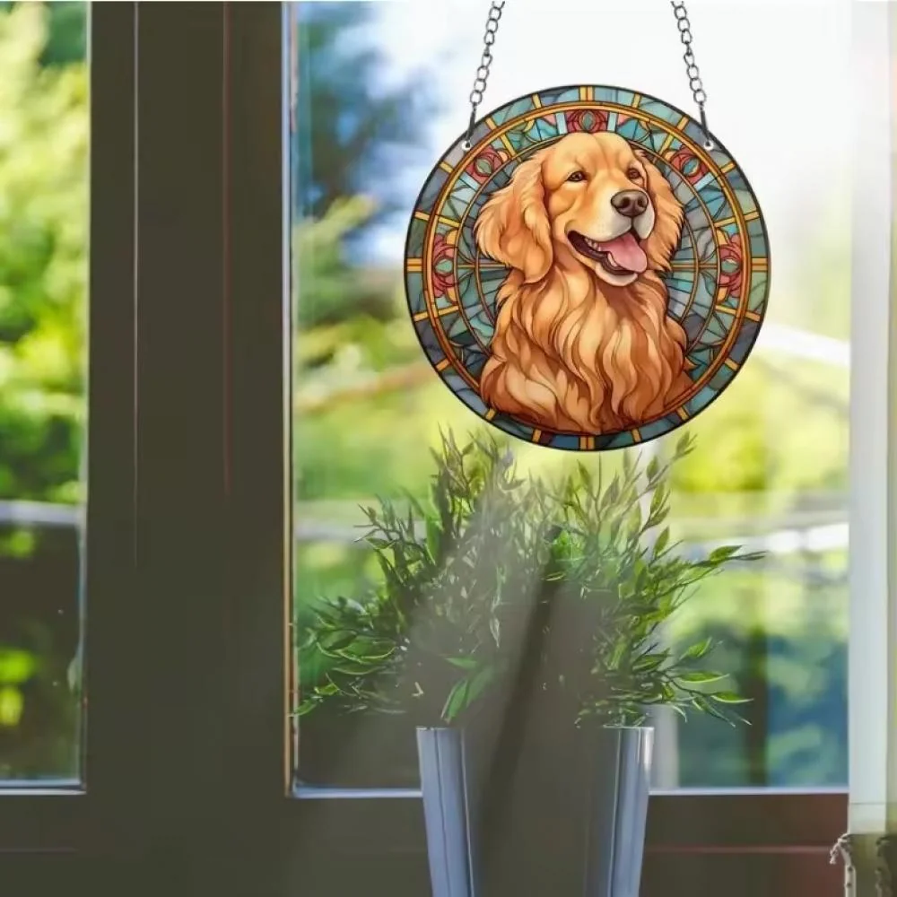 Lapač slnka s retrieverom