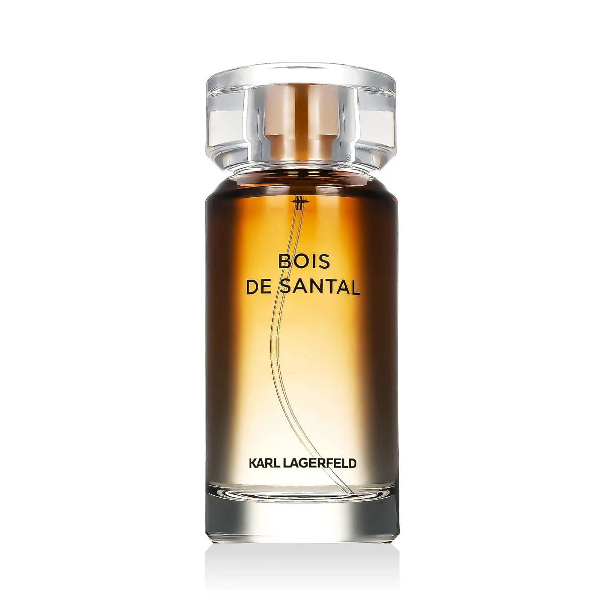 Karl Lagerfeld Bois de Santal toaletná voda pre mužov 100 ml 