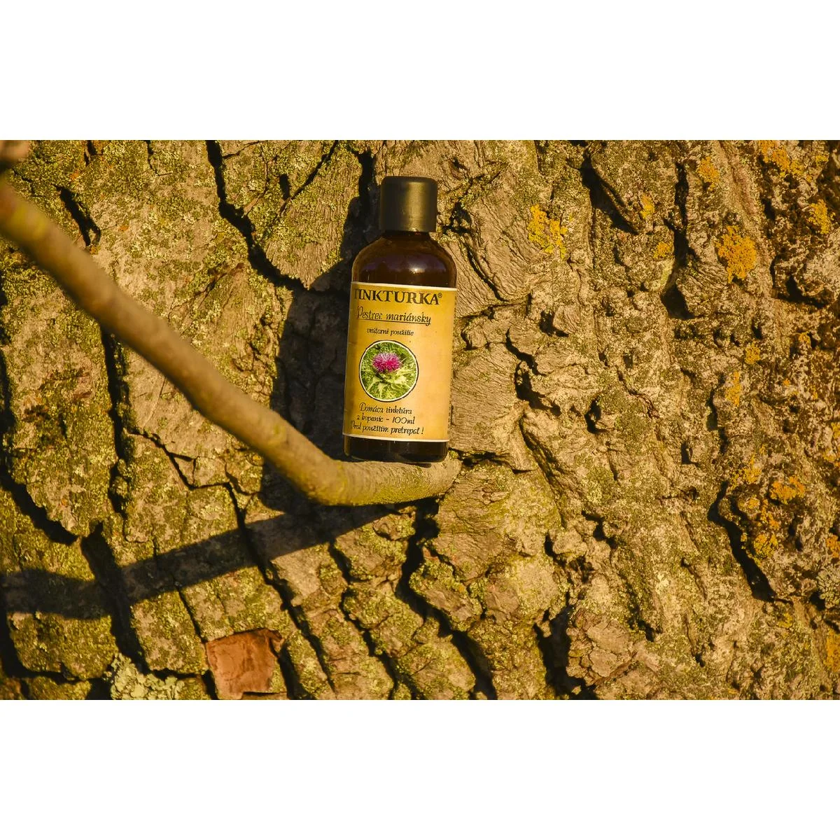 TINKTURKA - Pestrec mariánsky 100ml