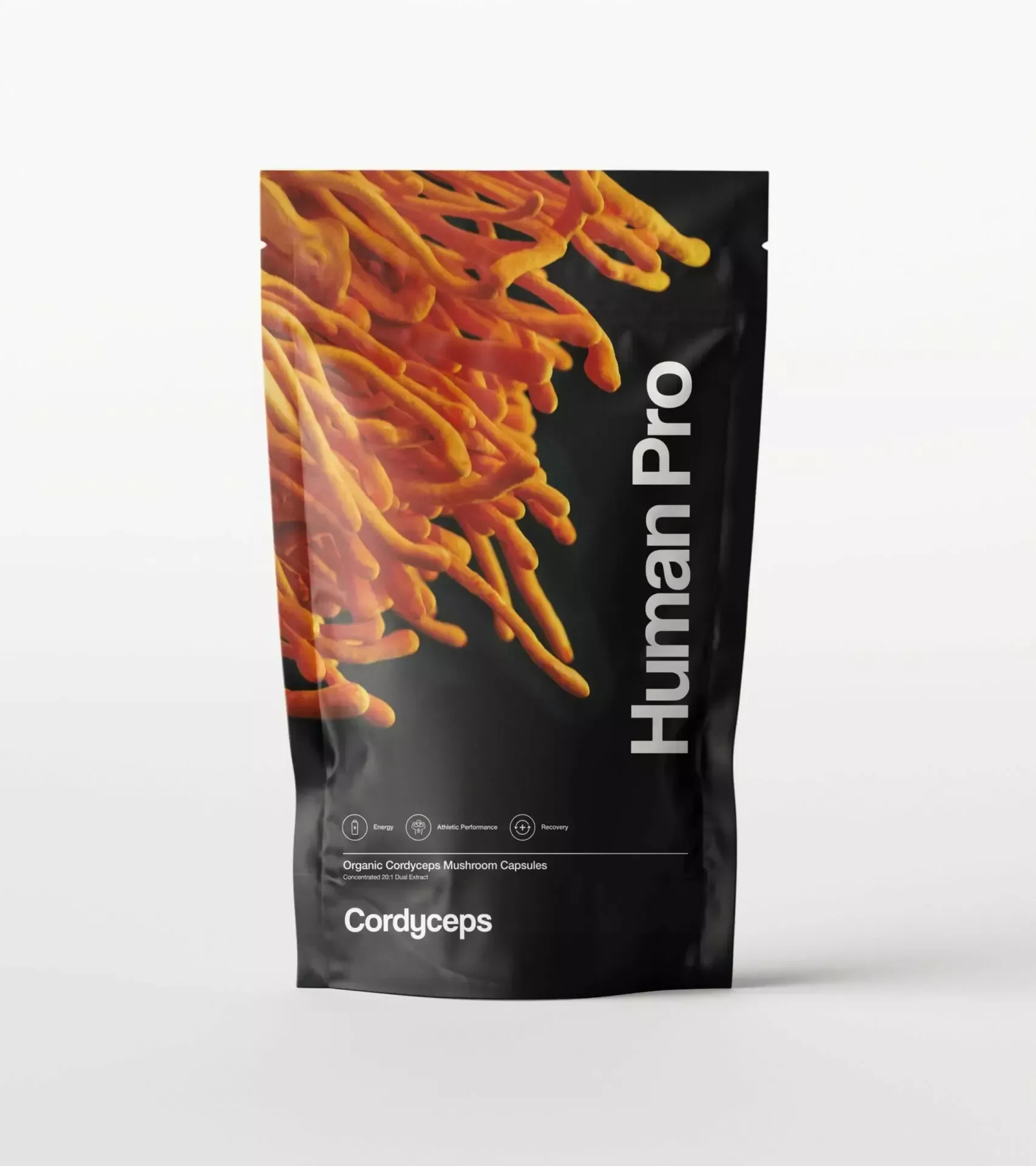 Cordyceps 100% čistý, divoký extrakt Cordyceps