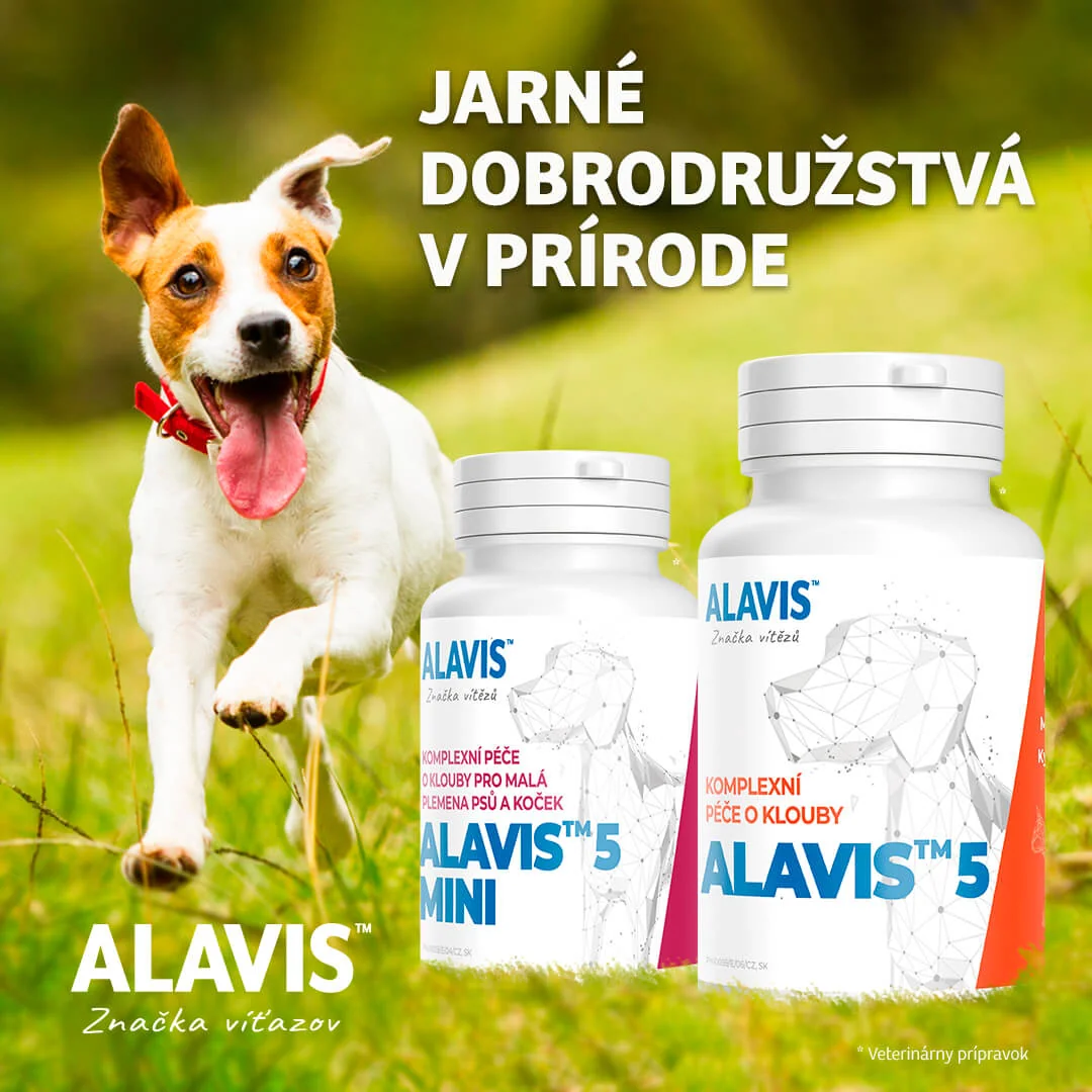 ALAVIS 5 MINI 1×90 tbl, veterinárny prípravok