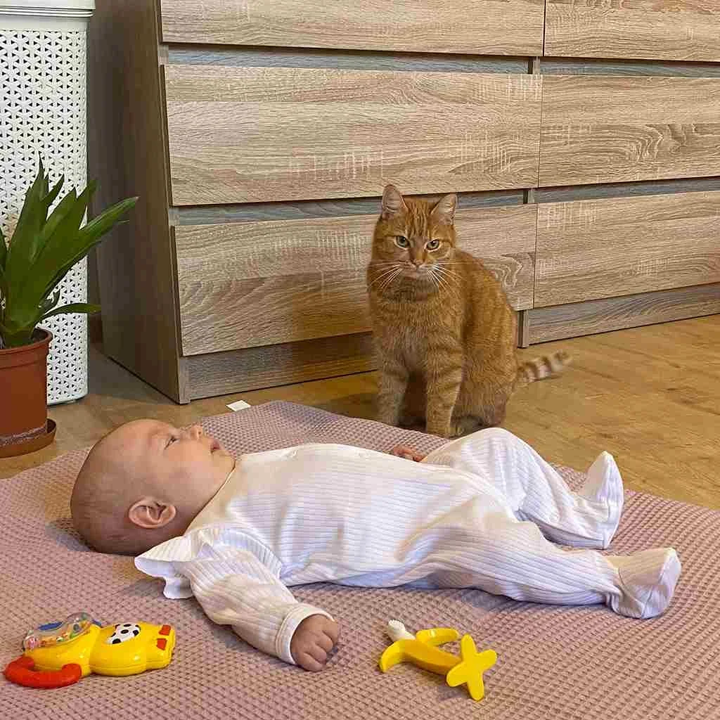 Dojčenský bavlnený overal New Baby Practical biely dievča 86