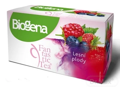 Biogena Fantastic Tea Lesné plody 20×2,2 g (44 g), ovocný čaj