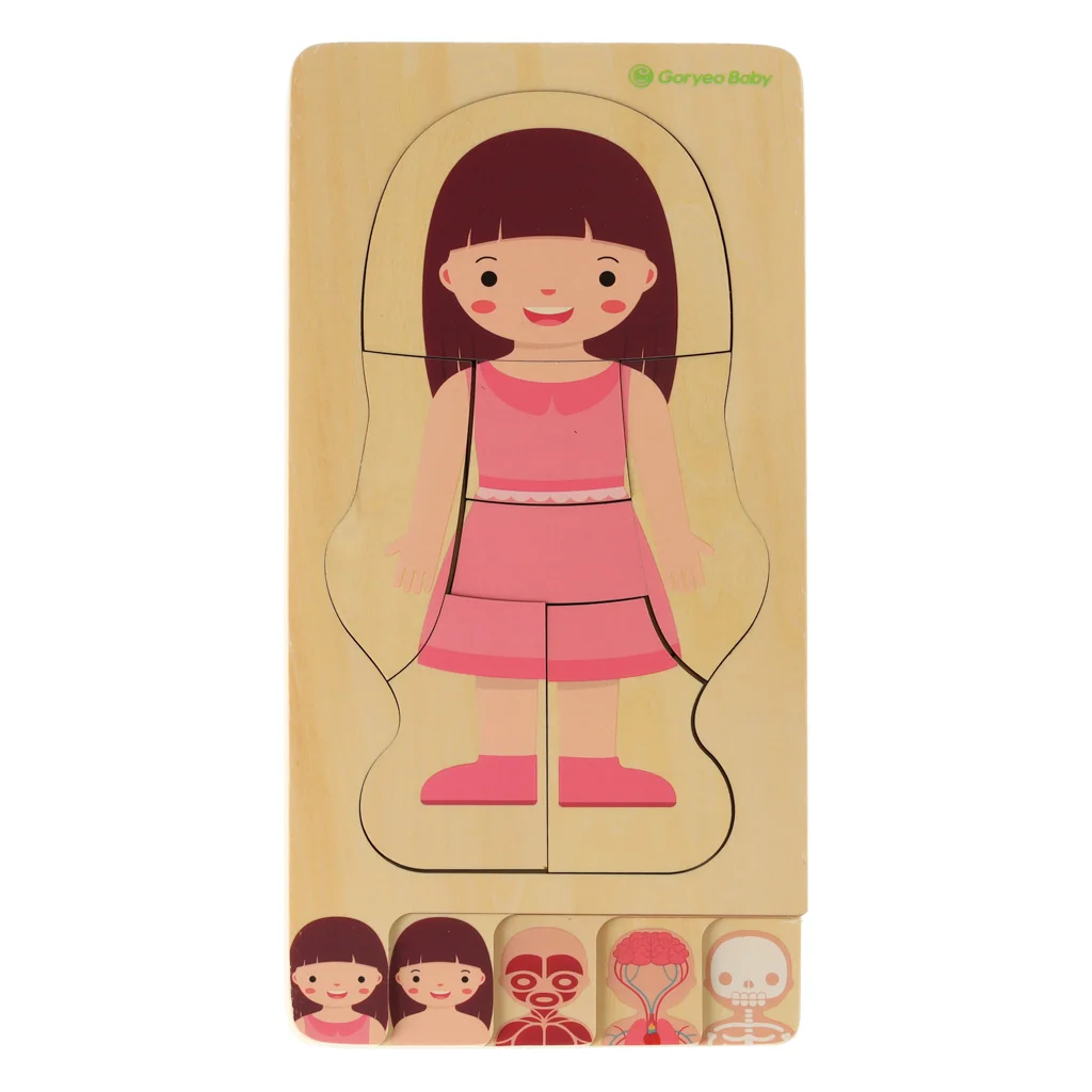 Anatómia človeka – vrstvené drevené puzzle (telo)