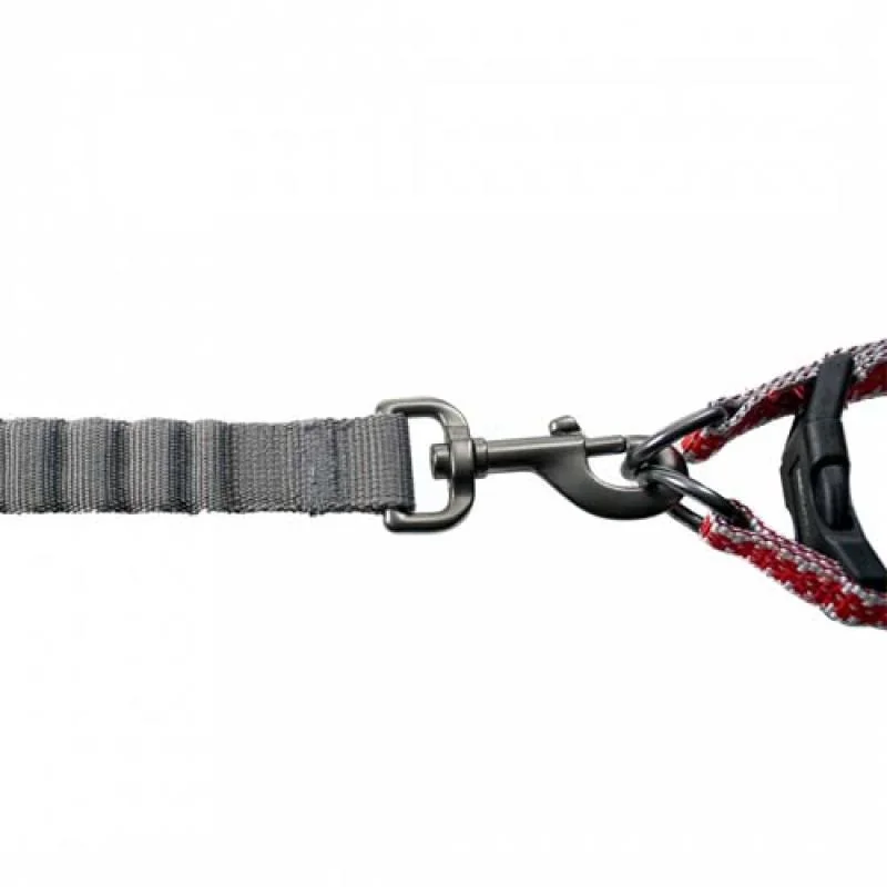 DUVO+ Reflexné vodítko s nabíjateľným Led svietiacím postrojom 35-50cm/15mm