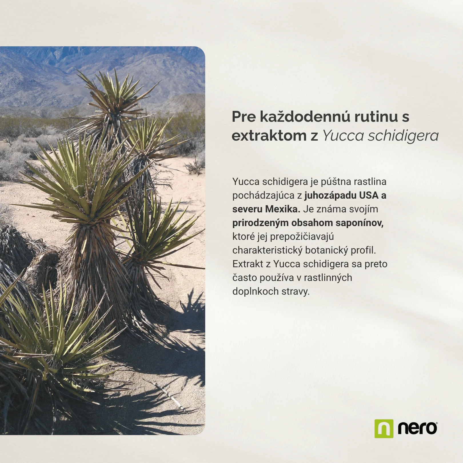 NERO Yucca Schidigera 500 mg 90 kapsúl