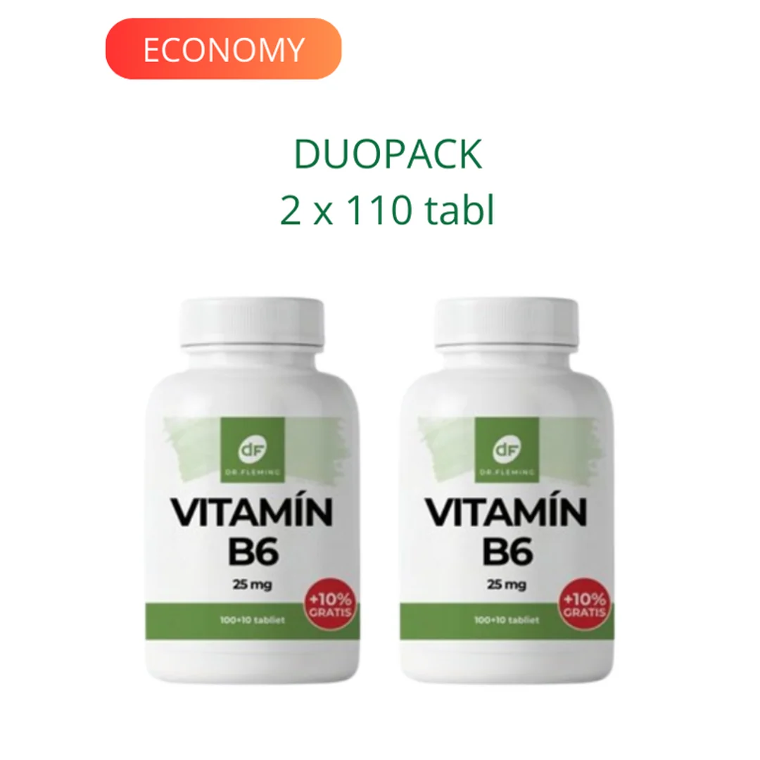 DR. FLEMING Vitamin B6 25mg +10% gratis 2x110ks DUOPACK