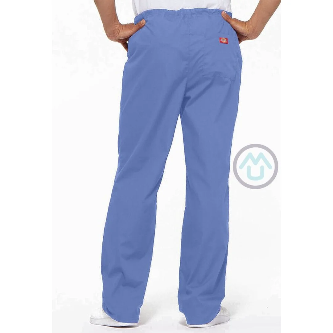 Unisex nohavice Dickies - nebeská modrá XS