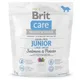 Brit Care Grain-free Junior Salmon&Potato 1kg