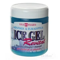 ICE GEL CHLADIVÝ