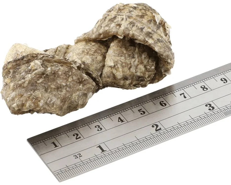 FISH4DOGS Dentálne pamlsky pre psy morská ryba - uzlíky 500g 1×500 g, dentálne pamlsky pre psy