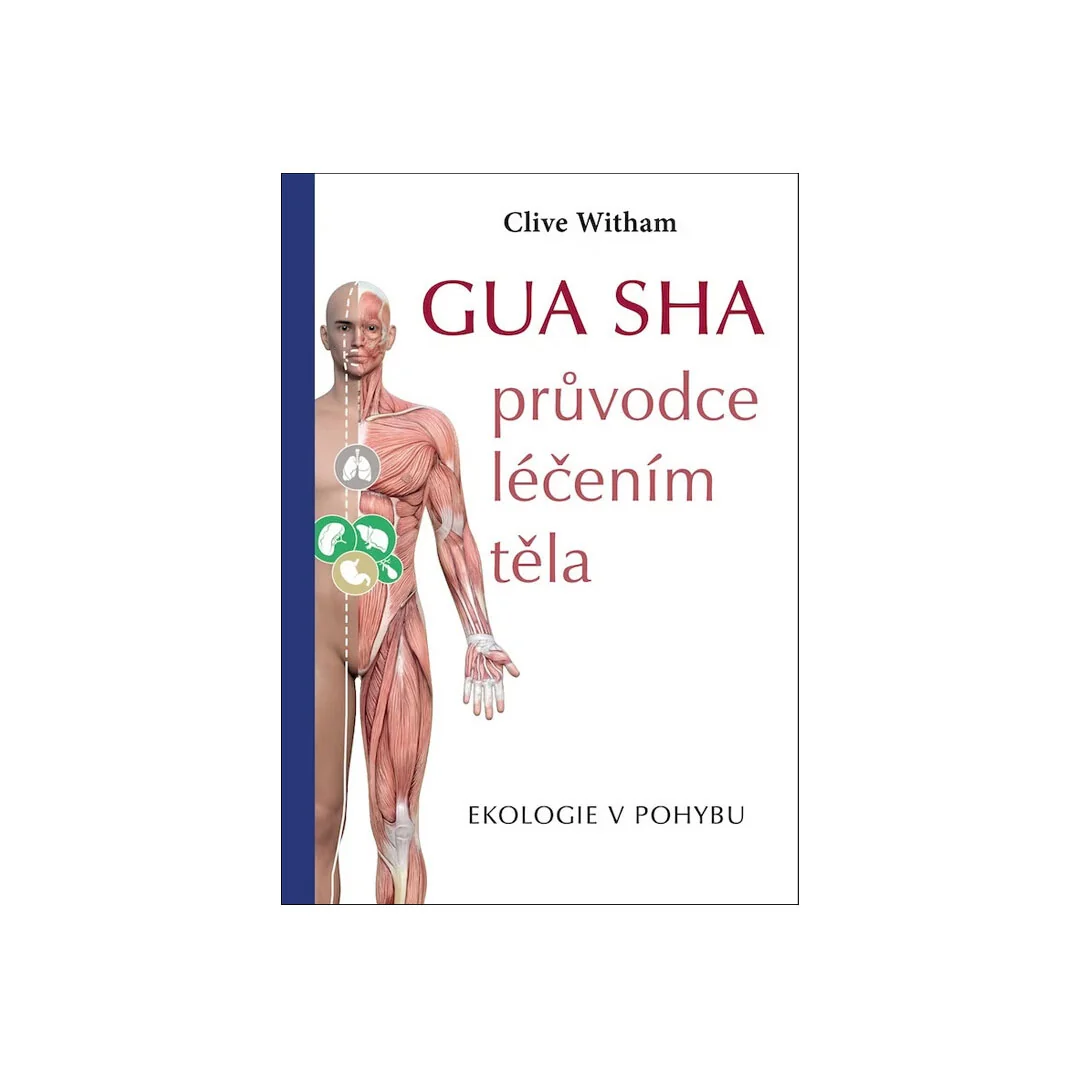 Gua sha - sprievodca liečením tela