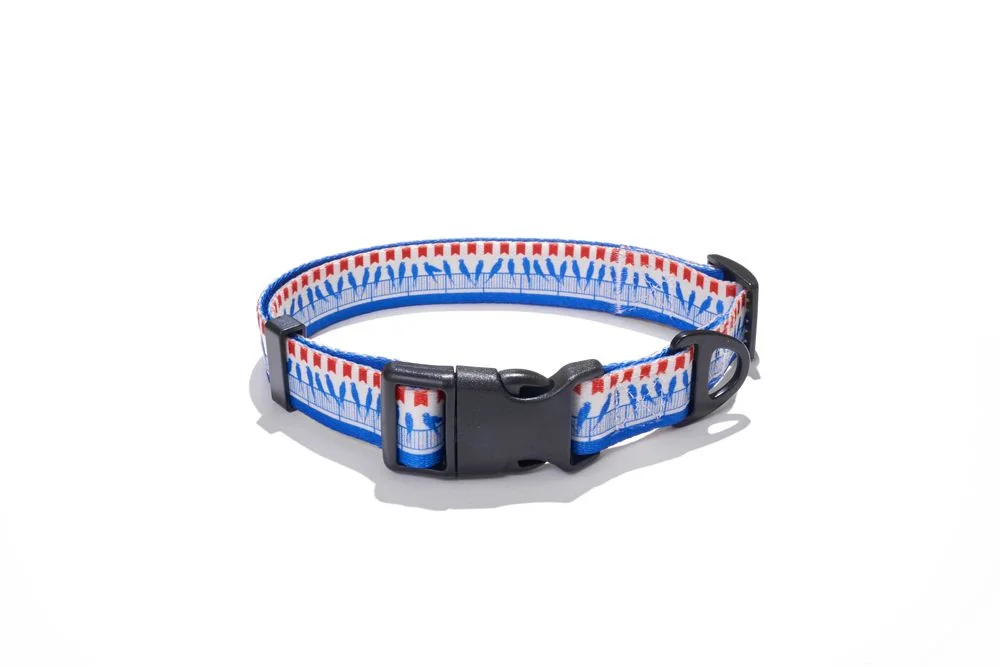 EXPLORER DOG Obojok Vtáci L - 41-66x2, 5 cm 1×1 ks, obojok pre psa