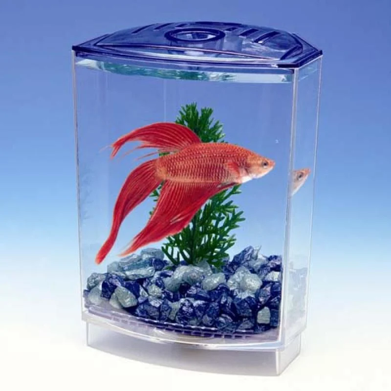 PENN PLAX BETTA akvárium 10x10x15cm + rastlina + štrk pre bojovnice