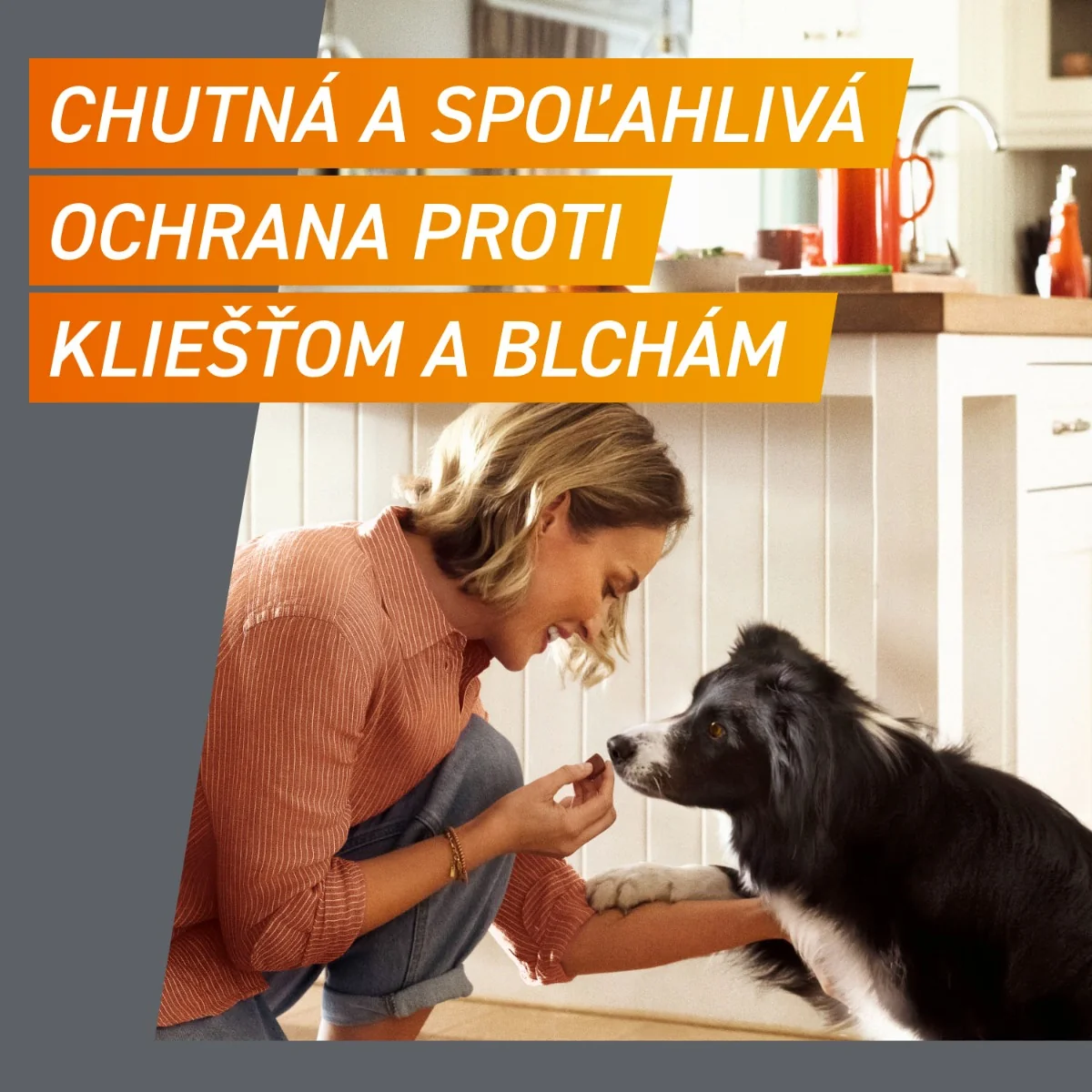 FRONTPRO® antiparazitárne žuvacie tablety pre psy (2-4 kg) 1×3 tbl, antiparazitárne tablety