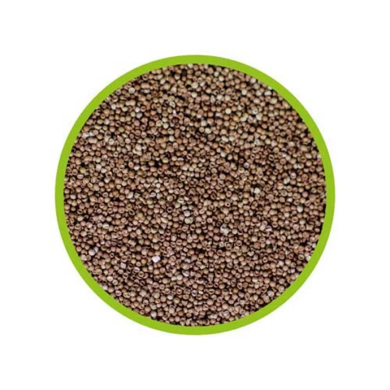 HOBBY Artemia Brine Shrimp Eggs- vajíčka 20ml