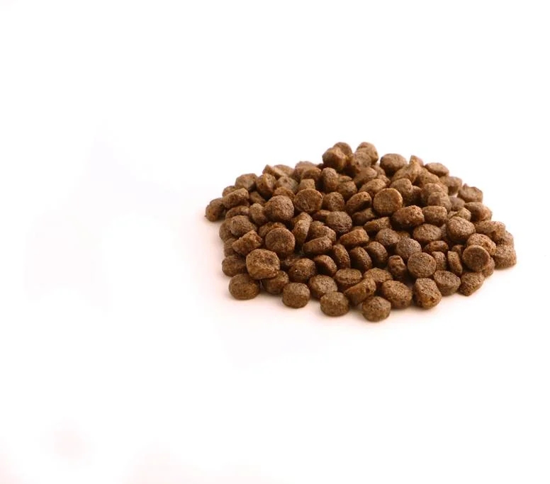FISH4DOGS Granule veľké pre šteniatka Finest losos so sladkými zemiakmi 1,5 kg, 2m+ 1×1500 g, granule pre šteniatka