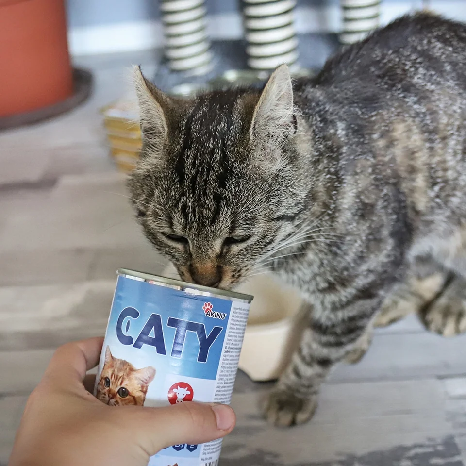 Akinu CATY Hovädzie kúsky v omáčke v konzerve pre mačky 14 x 415 g
