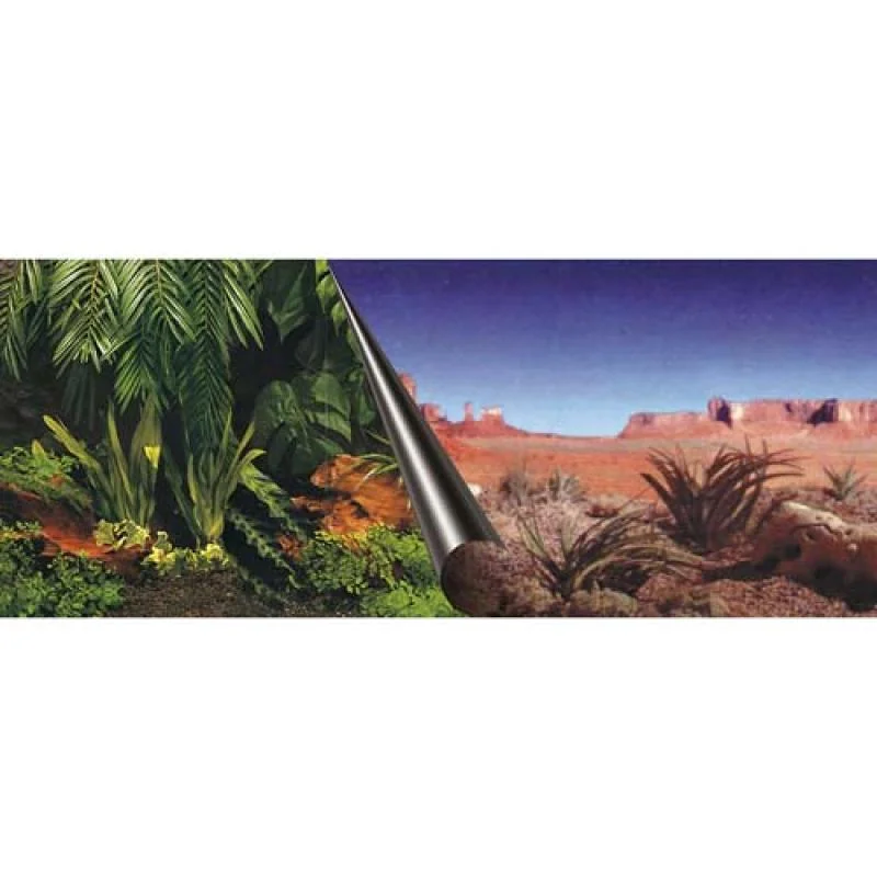 EBI Photo Decor Jungle + Dessert  80 x 40cm