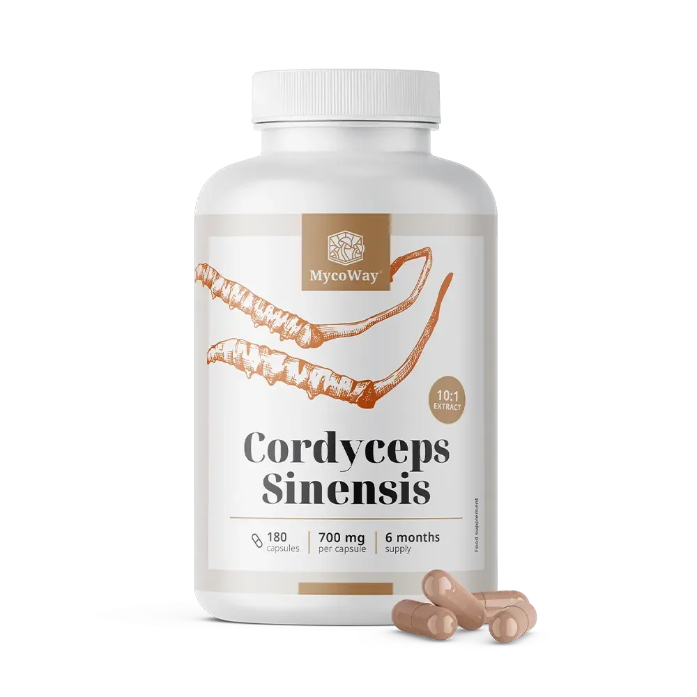 MYCOWAY Cordyceps Sinensis extrakt 10:1, 180 kapsúl 180 cps