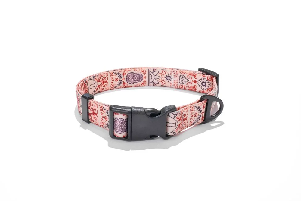 EXPLORER DOG Obojok Srdce L - 41-66x2, 5 cm 1×1 ks, obojok pre psa